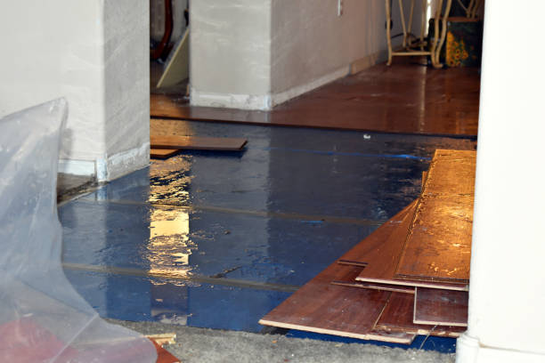 Professional Water Damage Restoration technician working in Princeton, WI